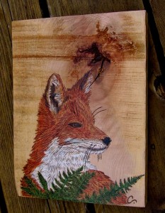Fox in the Fern
