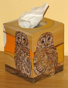 Owls - tissue box