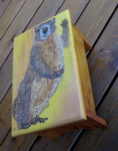 yellow bellied marmot foot stool